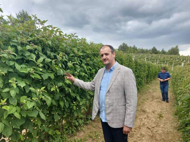 AGRONOMI MORAJU VODITI GLAVNU REČ