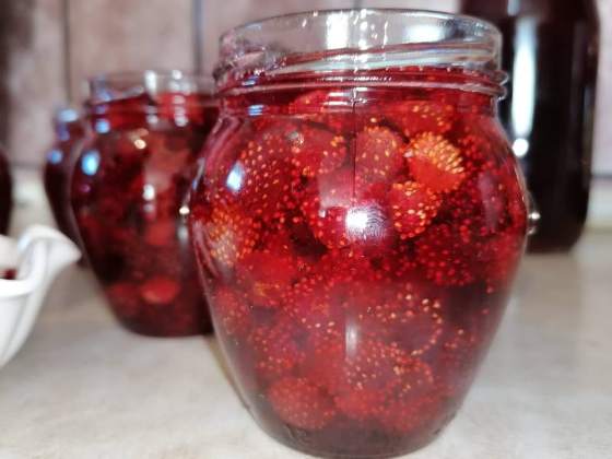 Poljoprivredno gazdinstvo Jelić