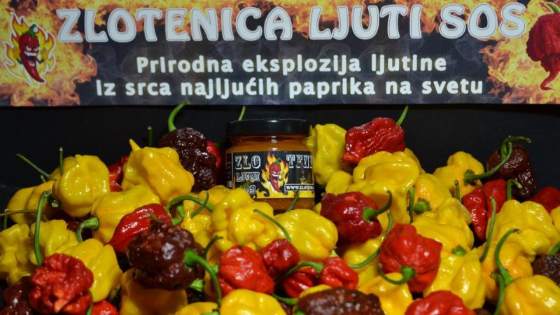 Zlotenica ljuti sos