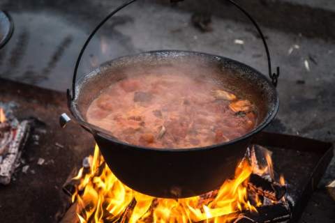 Takmičenje u kuvanju bećarskog paprikaša