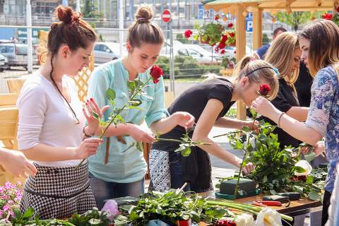 МЕЂУНАРОДНИ САЈАМ ХОРТИКУЛТУРЕ