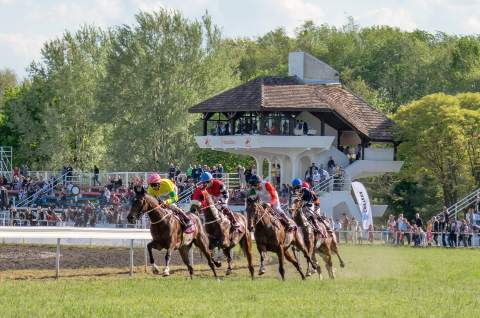 "ЗОБНАТИЧКЕ КОЊИЧКЕ ИГРЕ"