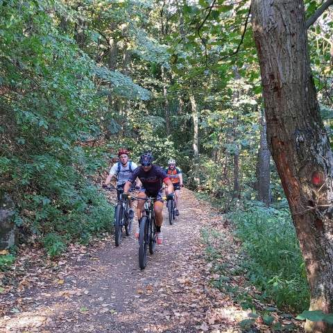 "АМИ НОЋНИ МТБ МАРАТОН"