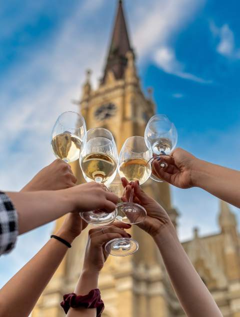 МЕЂУНАРОДНИ ФЕСТИВАЛ ВИНА „ИНТЕРФЕСТ“