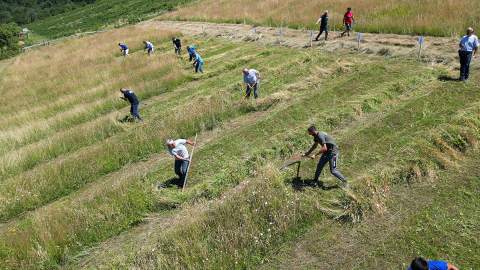 "КОСИДБА НА МАРОВЦУ"