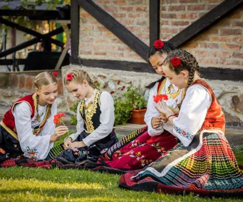 СМОТРА ФОЛКЛОРНИХ ДРУШТАВА СРБИЈЕ И БОСНЕ И ХЕРЦЕГОВИНЕ „ДВЕ ОБАЛЕ, ЈЕДНА ДРИНА“