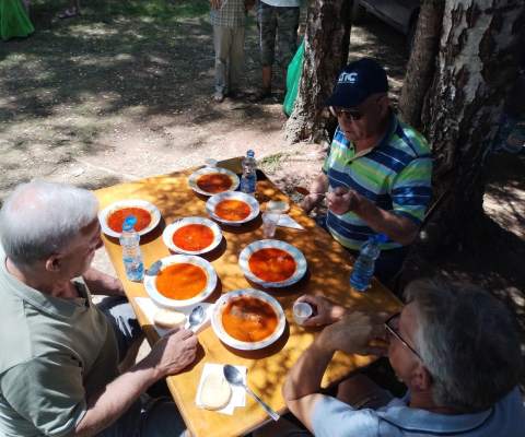 "ВЛАСИНСКИ КОТЛИЋ"