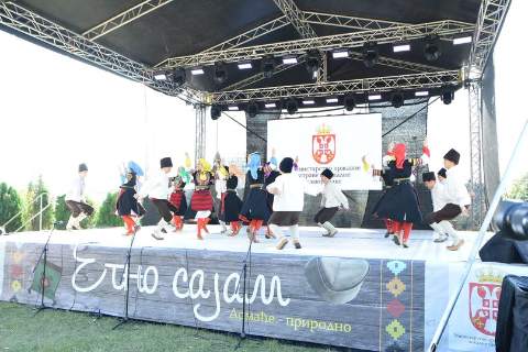 ПЕТРОВДАНСКИ ВАШАР И "ДАНИ ЗОРАНА ЈОВАНОВИЋА"