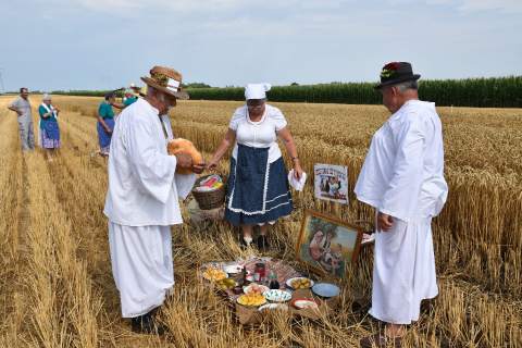 „ILLÉSNAP-ИЛИНДАНСКЕ СВЕЧАНОСТИ“