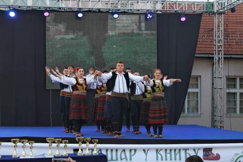 "ВАШАРИ У КНИЋУ-КНИЋАНСКО ЛЕТО"