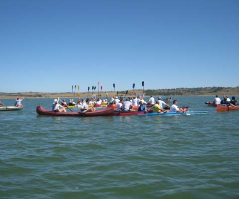 "ВЛАСИНСКА РЕГАТА"