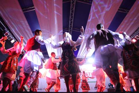 МЕЂУНАРОДНИ ДЕЧИЈИ ФЕСТИВАЛ ФОЛКЛОРА „ЛИЦИДЕРСКО СРЦЕ“