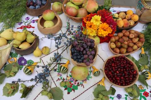 "ЗЛАТНЕ РУКЕ БРУСА"