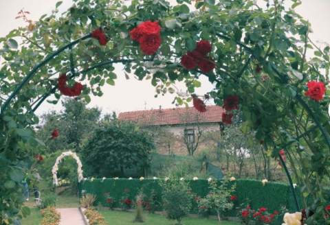 "МОЈ ГРАД-ЛЕП ГРАД"