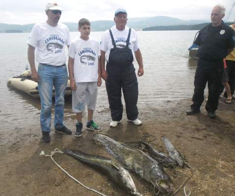 "ВЛАСИНСКА СОМОВИЈАДА"