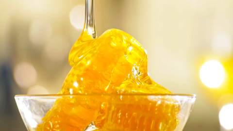 МЕЂУНАРОДНИ САЈАМ ПЧЕЛАРСТВА