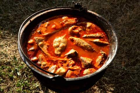 "ДЕСПОТОВ КОТЛИЋ"