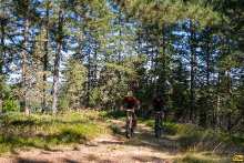 БИЦИКЛИСТИЧКА ТРКА "WILD BEAR MTB"