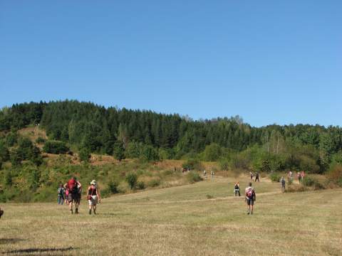 "ГЛЕДИЋКА ТРАНСФЕРЗАЛА"