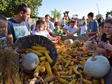 "МИХОЉСКИ СУСРЕТИ СЕЛА ОГАР"
