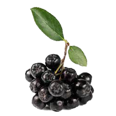 Aronija